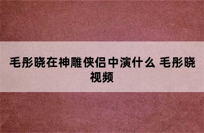 毛彤晓在神雕侠侣中演什么 毛彤晓视频